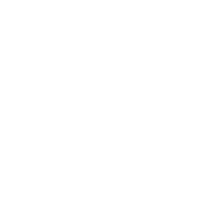 lotus-bel2