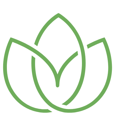 lotus2