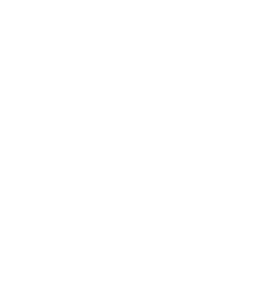 roza-bela1